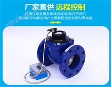 GPRS大口徑水表
