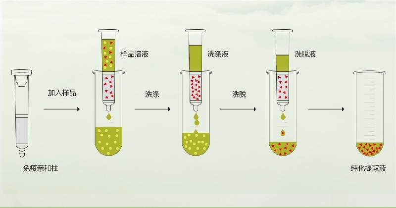 免疫亲和柱操作流程