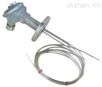 WRNK-430D铠装多点热电偶
