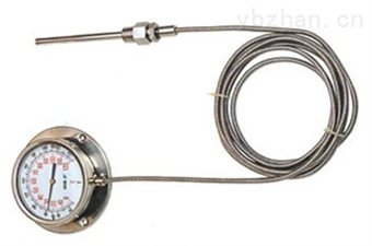 WTZ-280天康压力式温度计-温度控制器