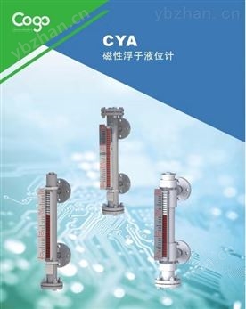 CYA磁性浮子液位計