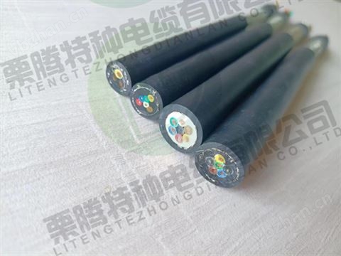 雙絞雙護屏蔽拖鏈電纜