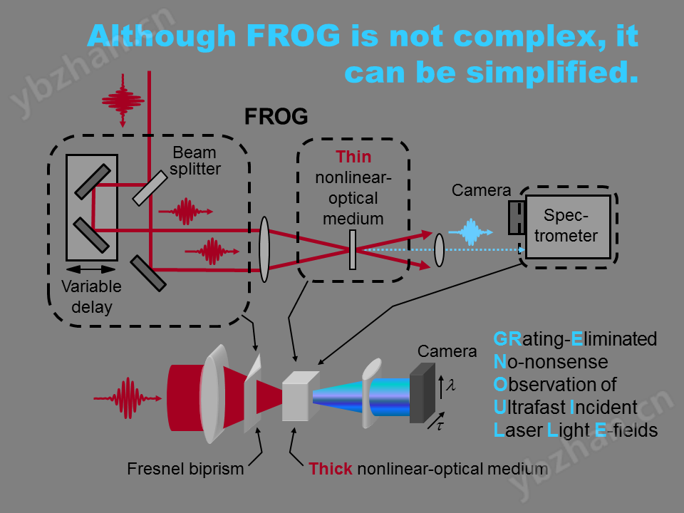 Swamp Optics超短脉冲测量仪FROG