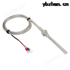 WRNK-291铠装热电偶