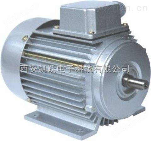 YE2-100L-2 3KW 三相異步電動(dòng)機(jī)