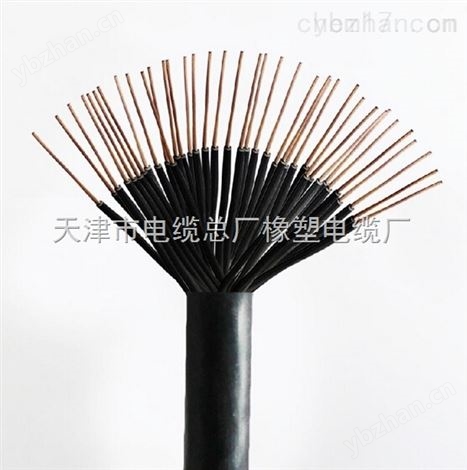 《技术参数 RS485-22  3x2x0.5双铠装信号线》485通讯电缆