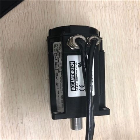 BAUMULER鮑米勒伺服電機器報警編碼器損壞修